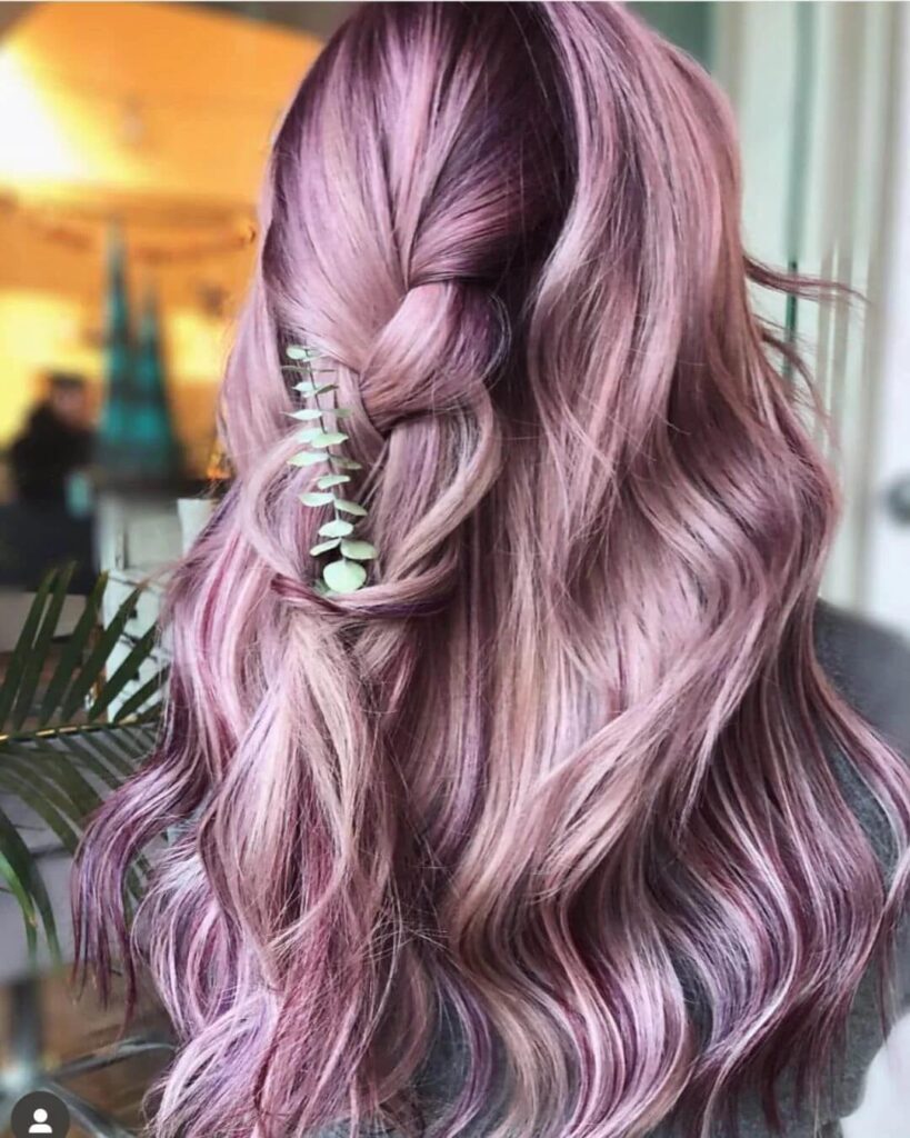 Winter Plum Purple