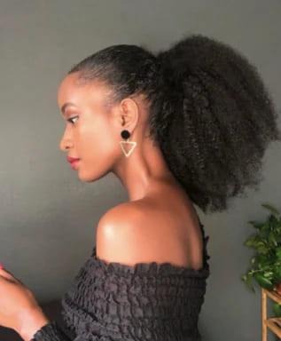 Natural Ponytail