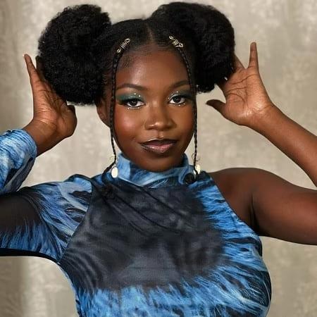 Afro Puff with Braids