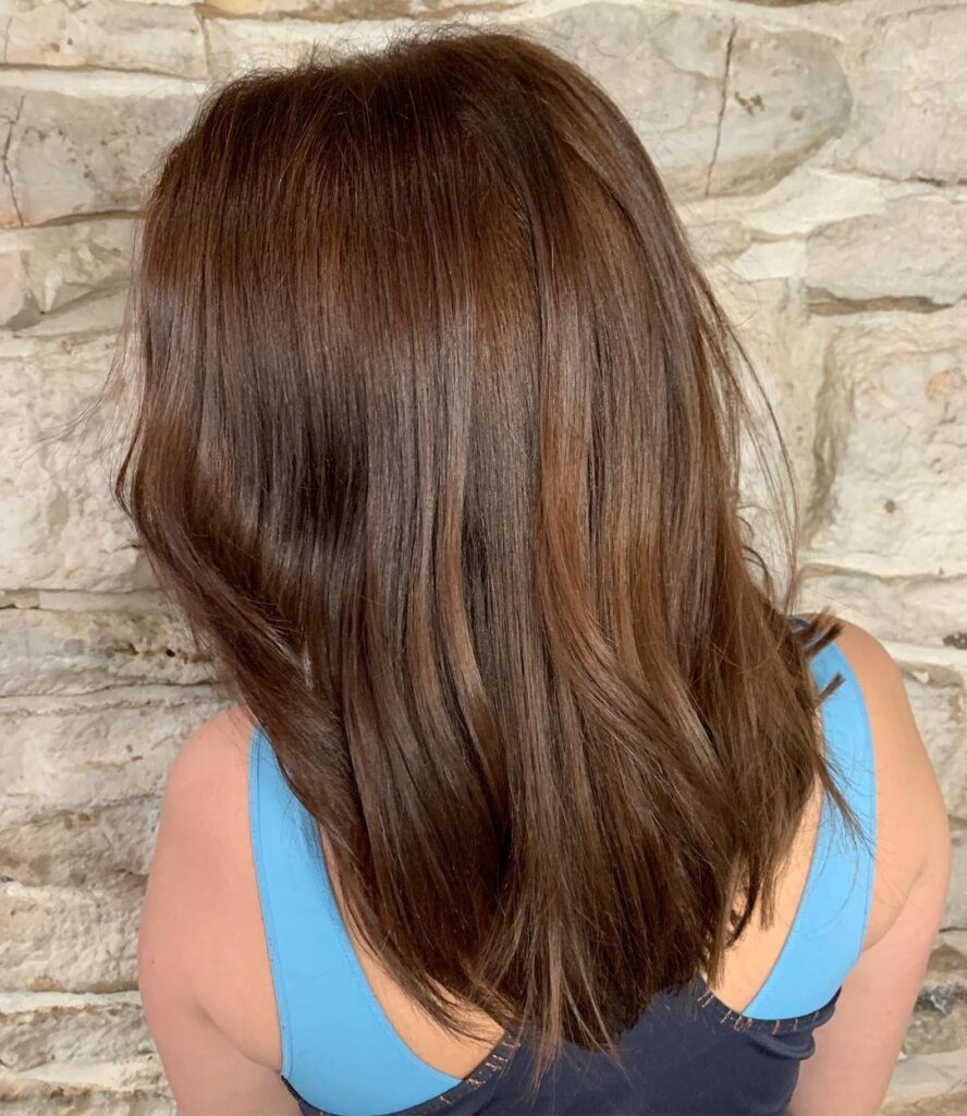 Chestnut Balayage Medium Hair