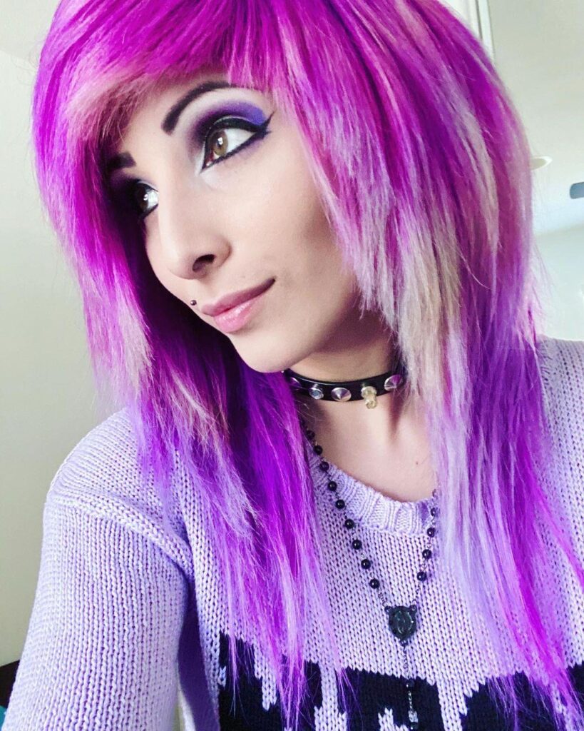 Purple Pink Gothic Scene Hairstyle