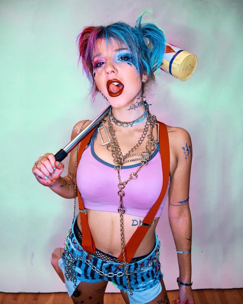 Harlequin Inspired Hair