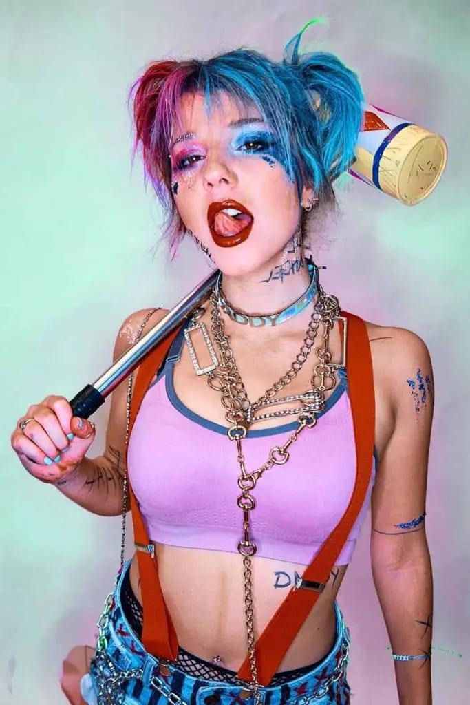 Harlequin Inspired Hair