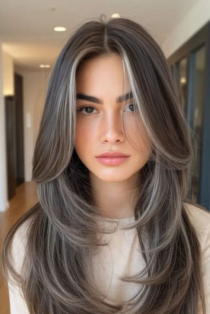 Layered Brown Hair with Silver Highlights