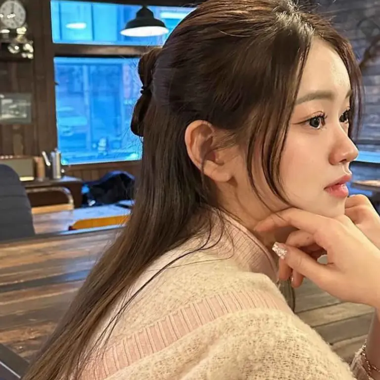 Long Brown Half-Up Half-Down Straight Hair