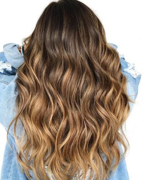 Golden Honey Balayage on Long Waves