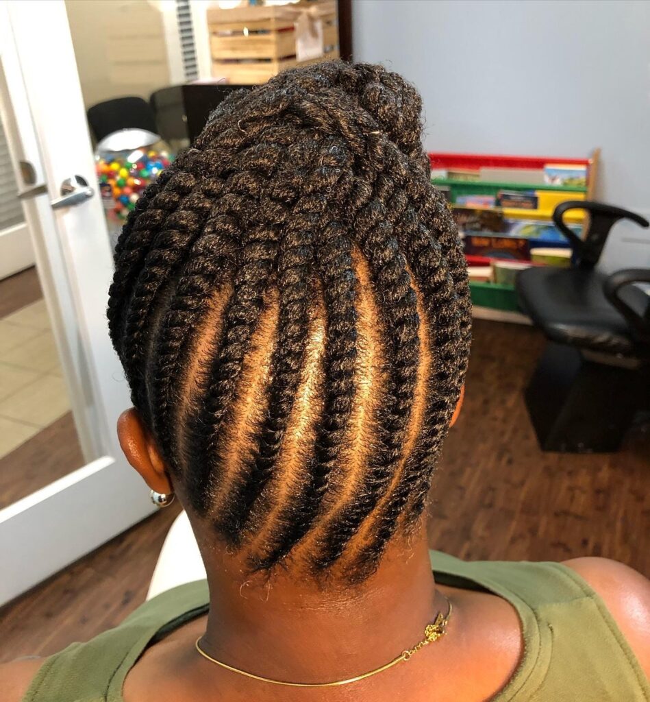 Twist Braided Locs