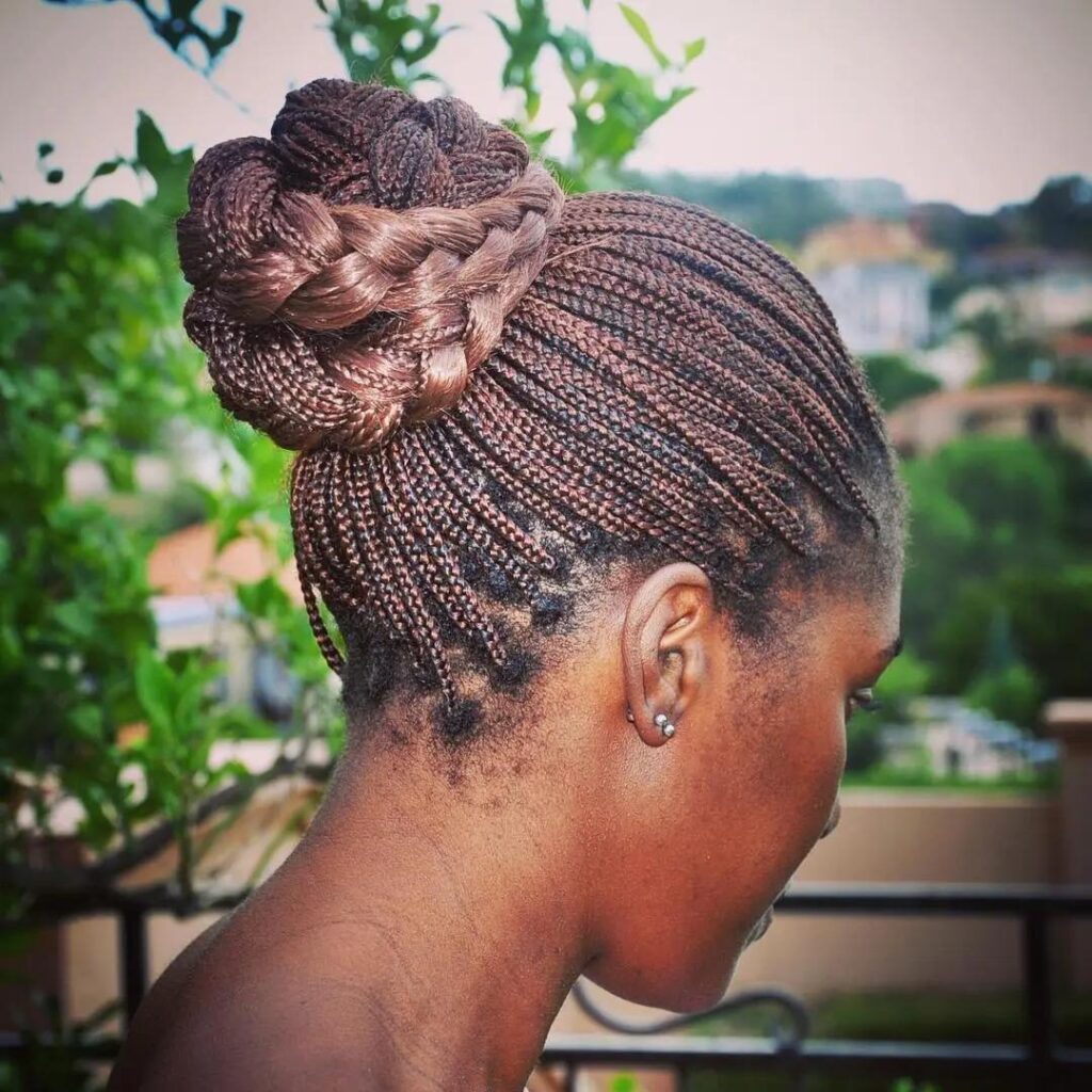 Braided and Bunned Box Braids